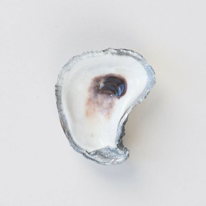 Grit and Grace Studio Oyster Jewelry Dish
