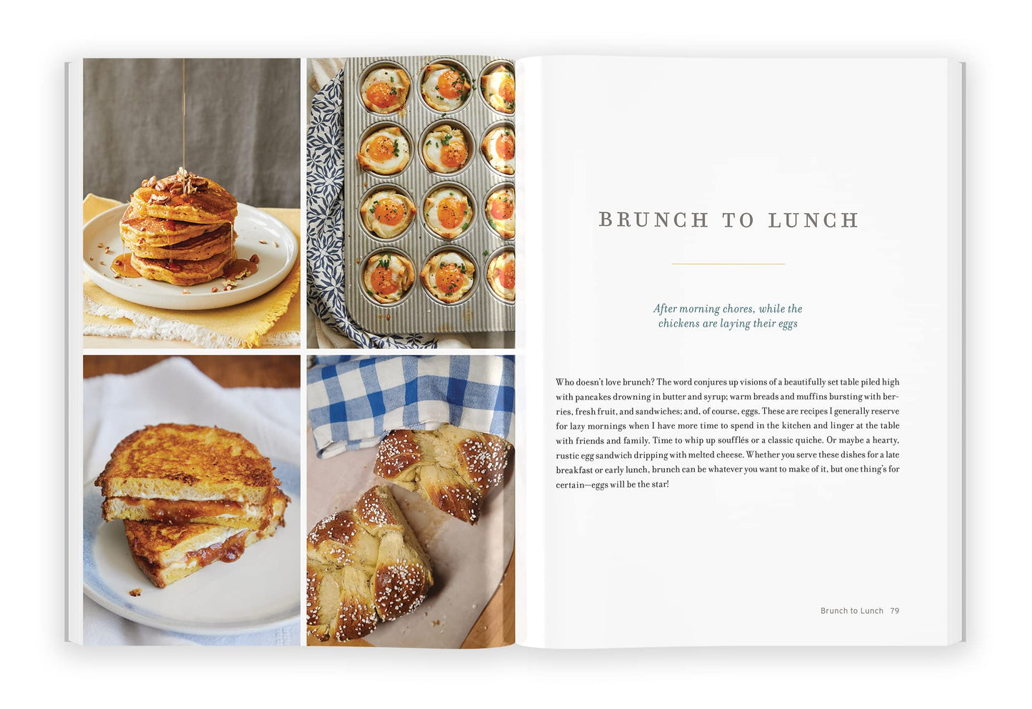 The Fresh Eggs Daily Cookbook: Over 100 Fabulous Recipes to Use Eggs in Unexpected Ways Hardcover – February 15, 2022 by Lisa Steele (Author)