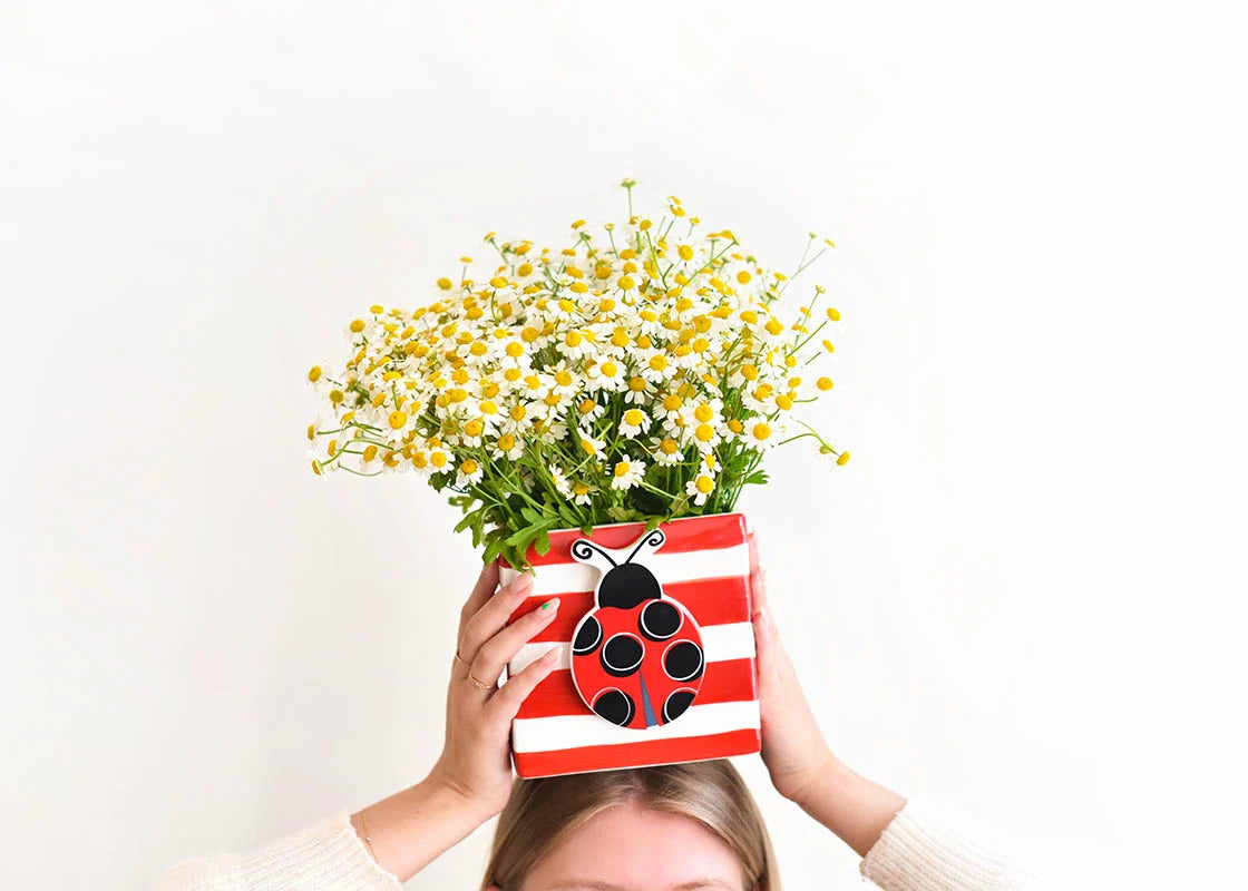 HAPPY EVERYTHING! RED STRIPE MINI NESTING CUBE MEDIUM