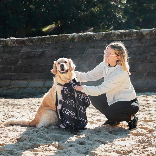 Dog & Bay Dog-Towels For Pets - Walkies in the Park