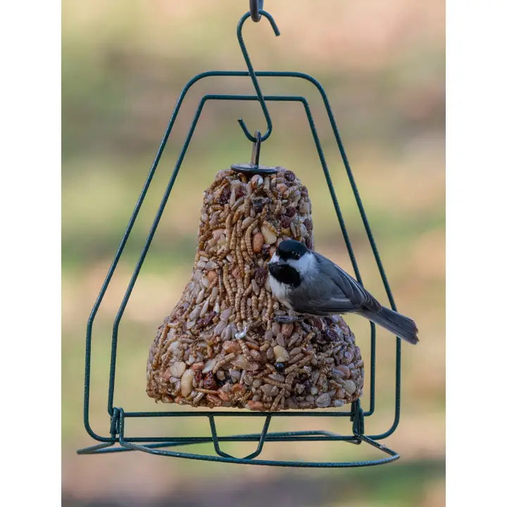 Mr. Bird Seed Bell Hanger