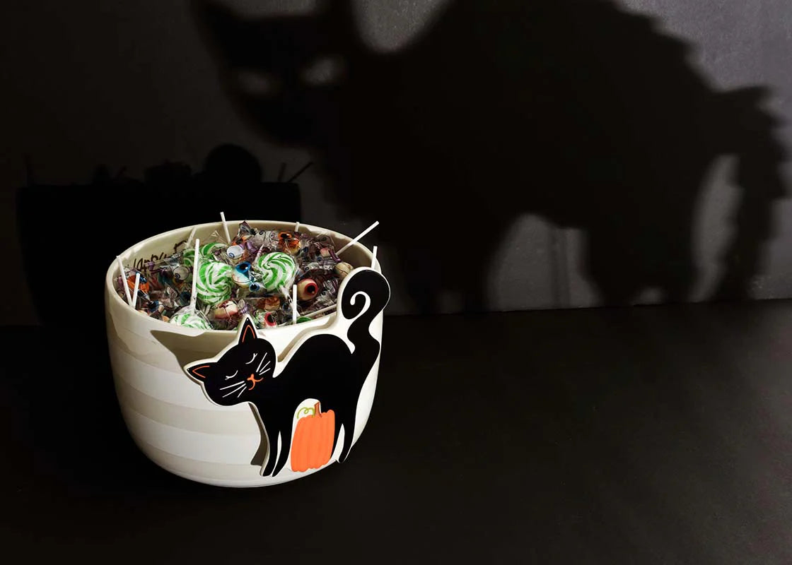 HAPPY EVERYTHING! BOO THE BLACK CAT BIG ATTACHMENT