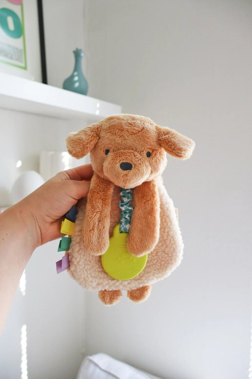 Itzy Ritzy Puppy Itzy Friends Lovey™ Plush