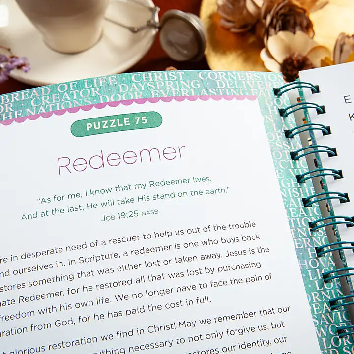 100 Meditations On the Names of Jesus (Word Search Devo)