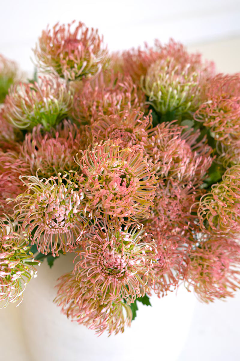 Kalalou Artificial Antique Blush Pincushion Protea