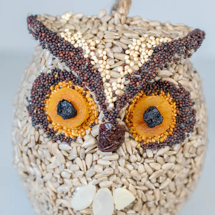 Mr Bird Whoo-Lio Owl