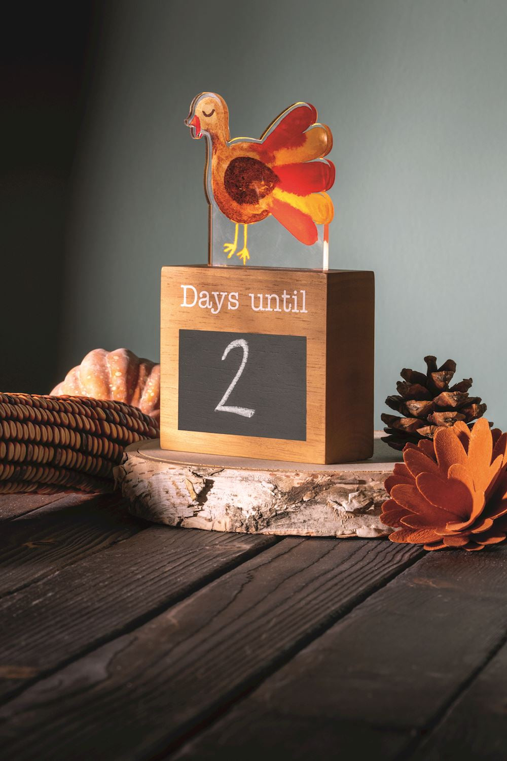 Mud Pie  Light-Up Holiday Countdown Set