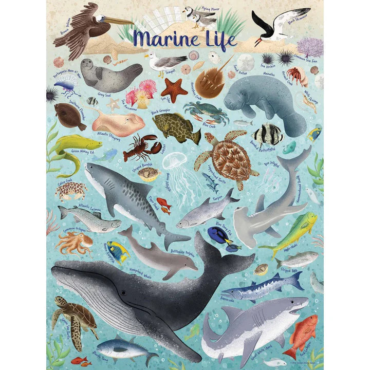 True South Puzzle - Marine Life - 500 Piece