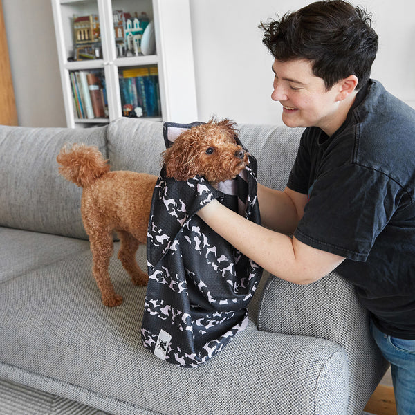 Dog & Bay Dog-Towels For Pets - Walkies in the Park