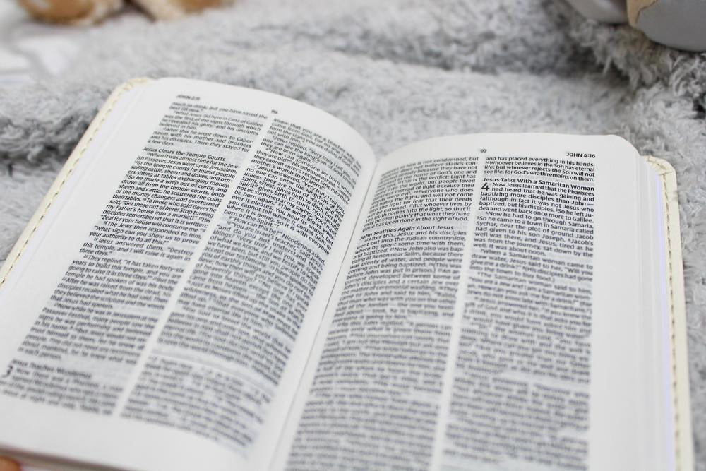 NIV, Tiny Testament Bible, New Testament