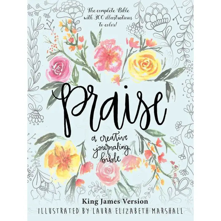 Praise: A Creative Journaling Bible By