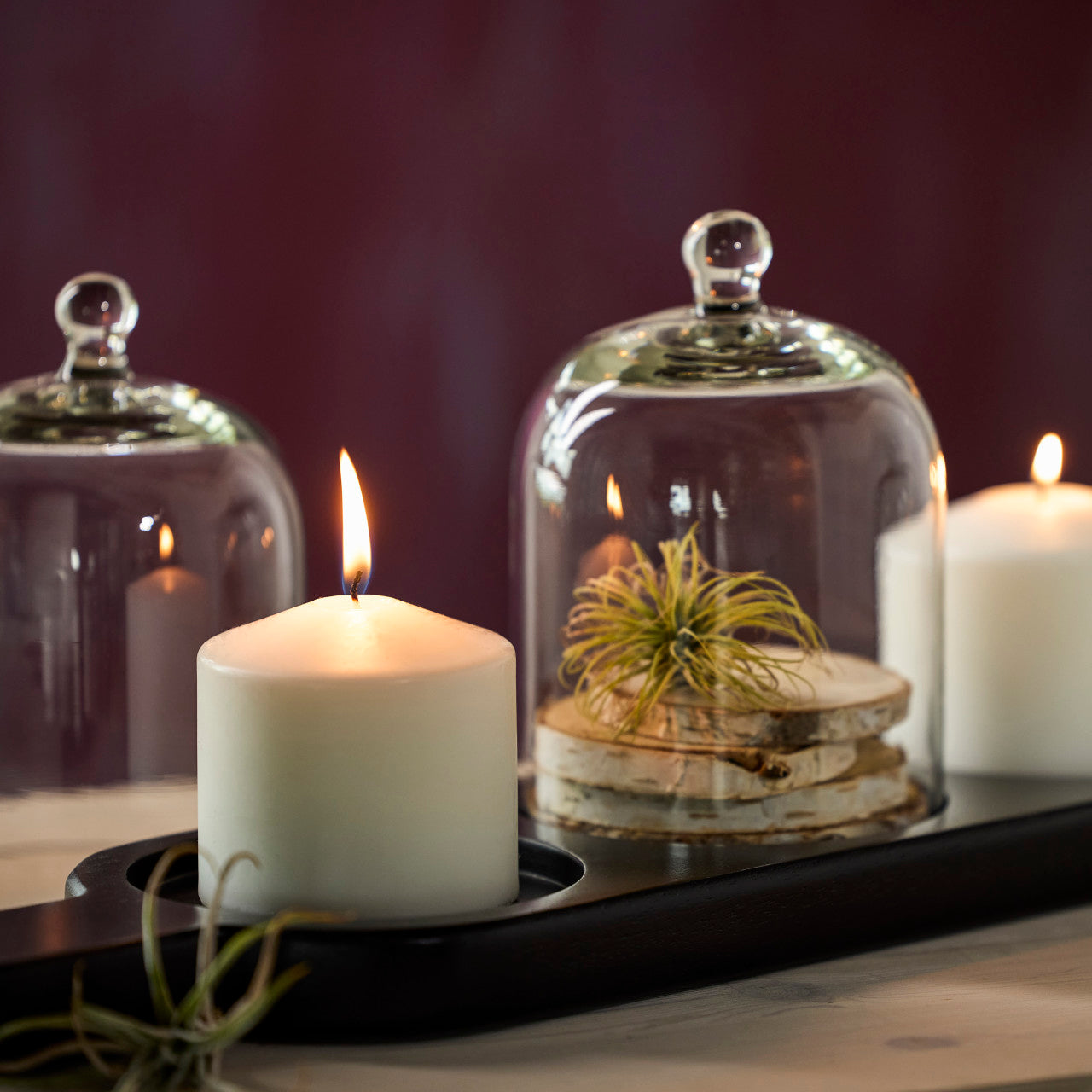 Demdaco Ebony Wood Tray with Cloche
