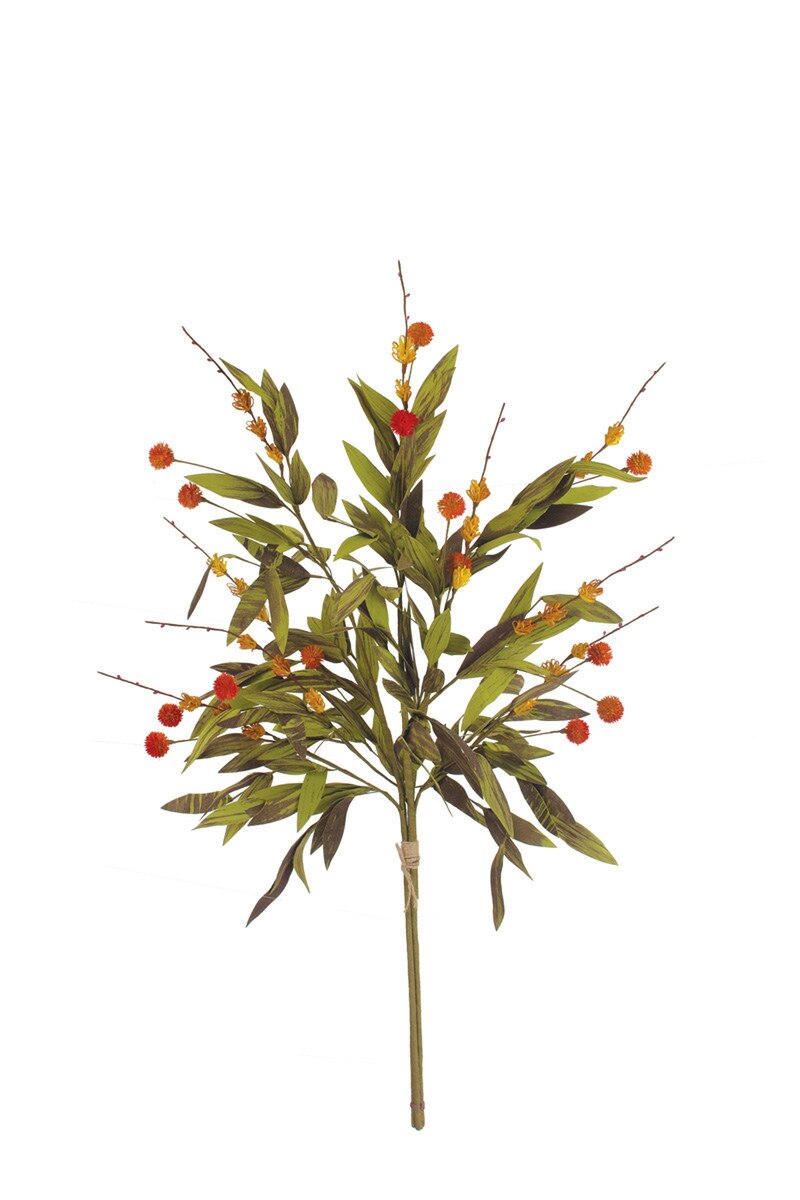 Kalalou Botanica #2818