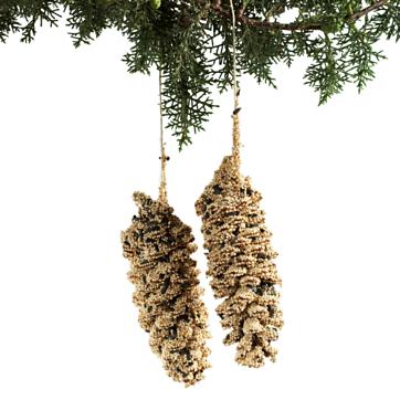 Mr. Bird Pine Cone Pair