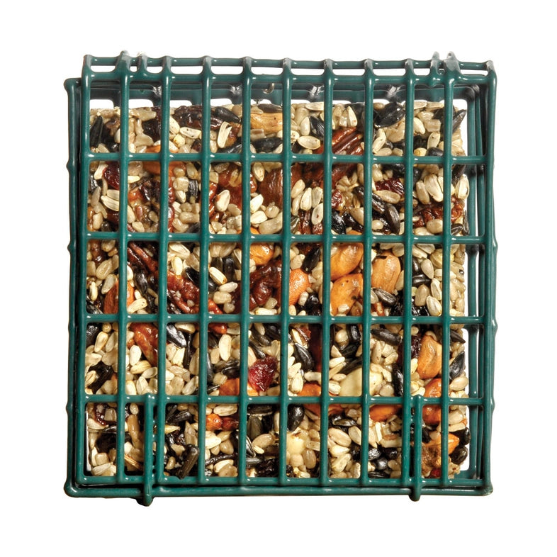 Neatfeeder Mr. BIrd
