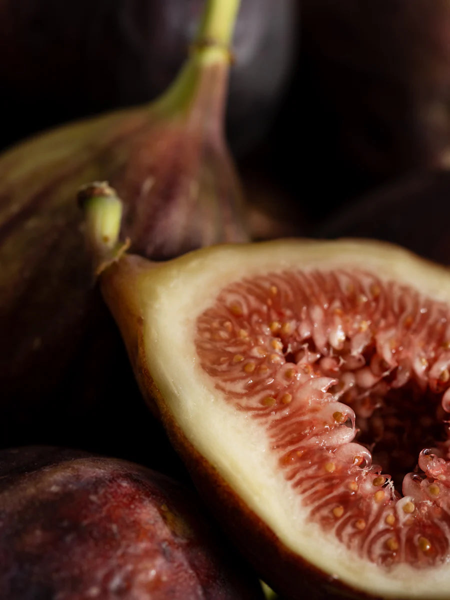 Pura Studio McGee Violet Fig
