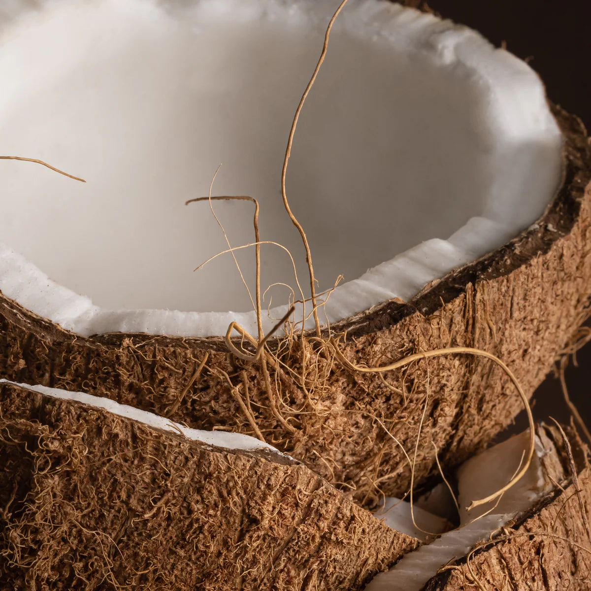 Becki Owens Coconut Calm Pura Car Diffuser Fragrance Refill
