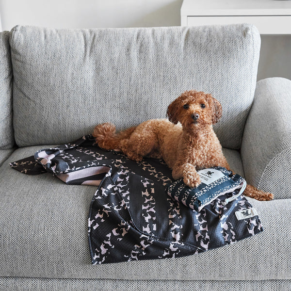Dog & Bay Dog-Towels For Pets - Walkies in the Park