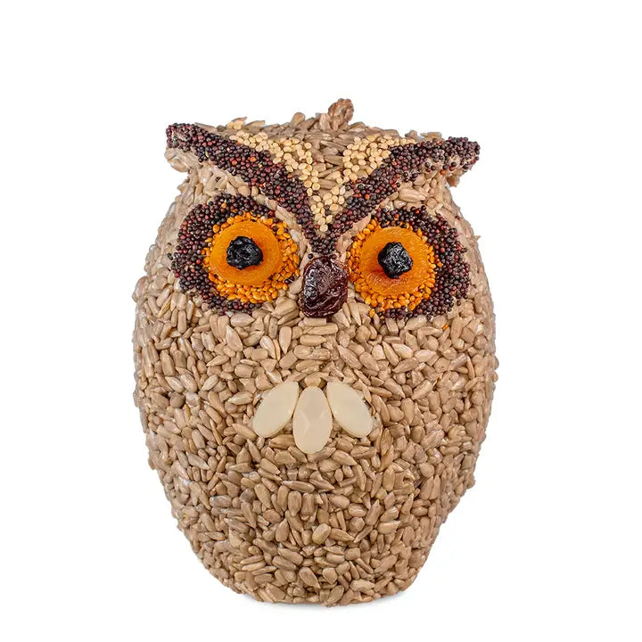 Mr Bird Whoo-Lio Owl