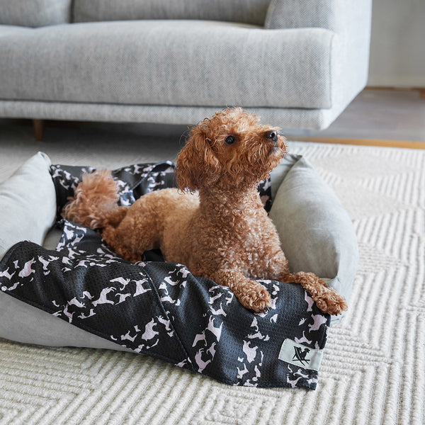Dog & Bay Dog-Towels For Pets - Walkies in the Park