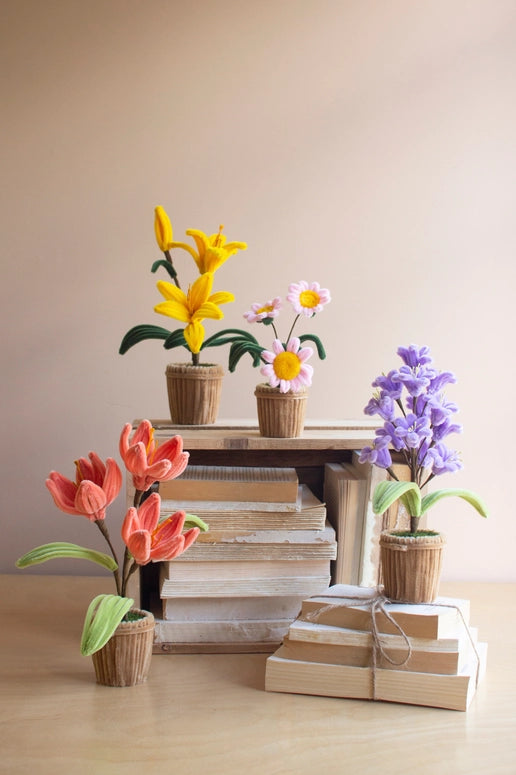 Kalalou Potted Pipe Cleaner Botanica