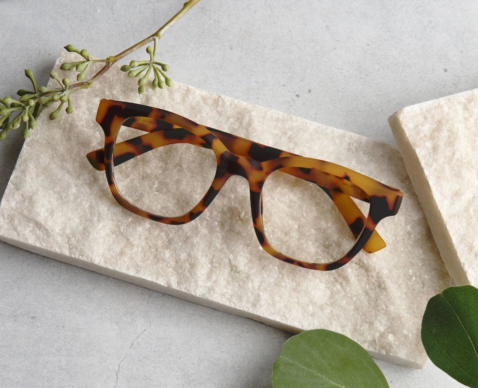 Peepers Zinnia (Blue Light)-Tokyo Tortoise