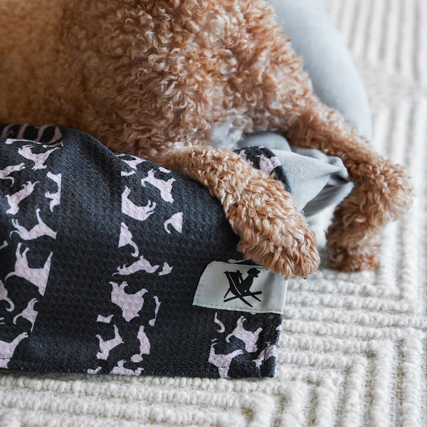 Dog & Bay Dog-Towels For Pets - Walkies in the Park