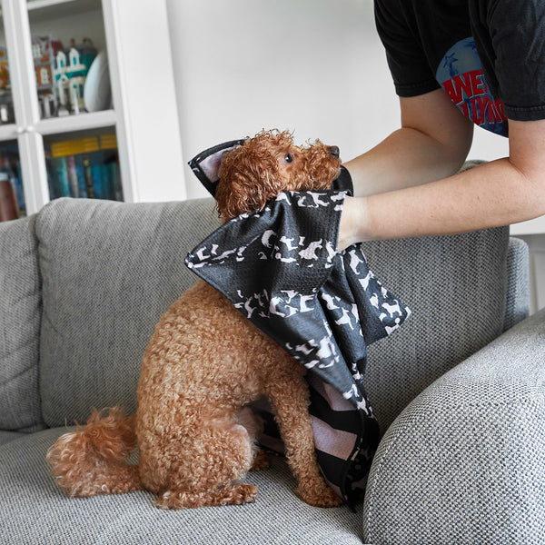 Dog & Bay Dog-Towels For Pets - Walkies in the Park