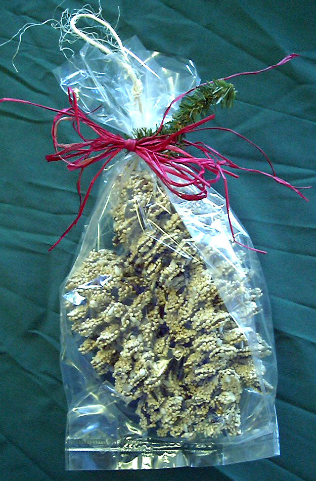 Mr. Bird Pine Cone Pair