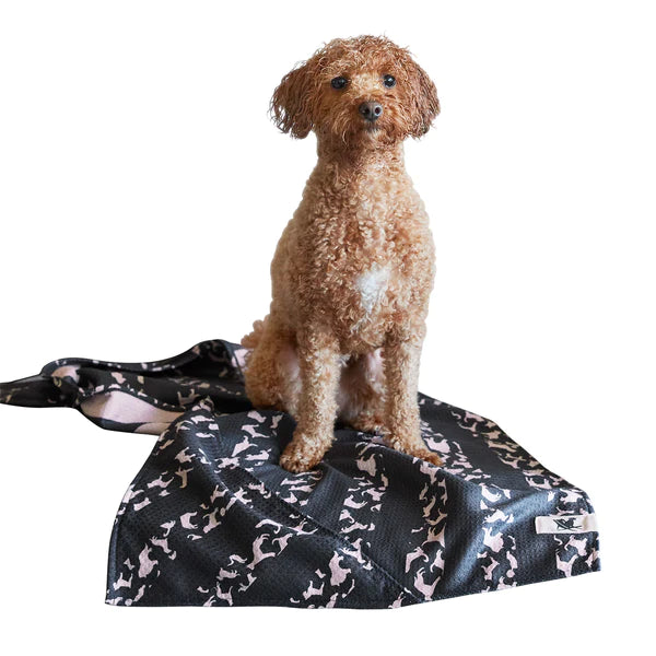 Dog & Bay Dog-Towels For Pets - Walkies in the Park