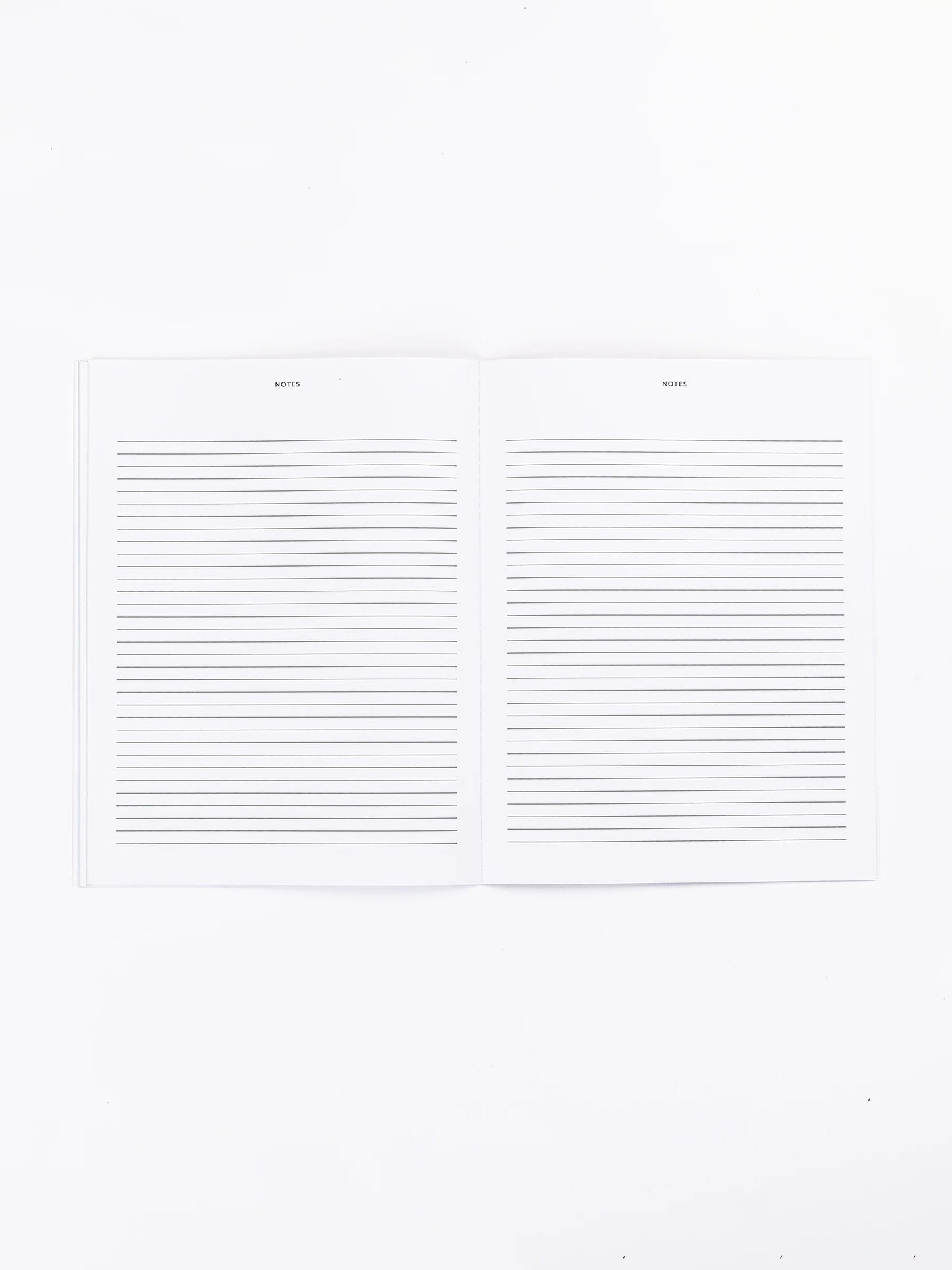 So Darling 2024 Medium Monthly Planner | Bubble Over Blue