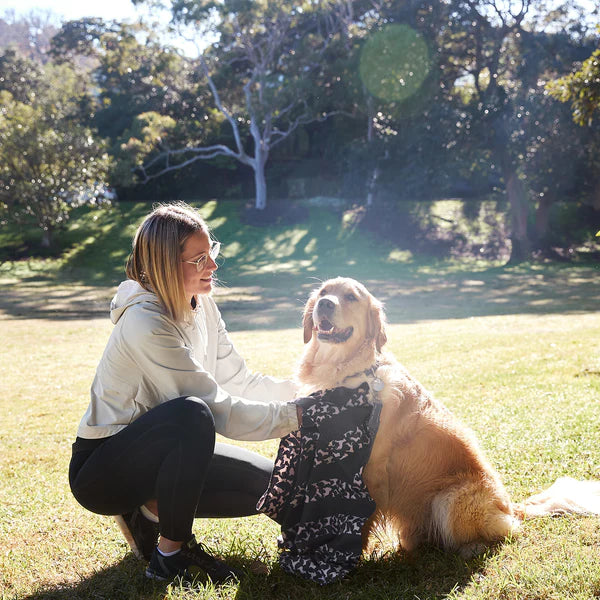 Dog & Bay Dog-Towels For Pets - Walkies in the Park