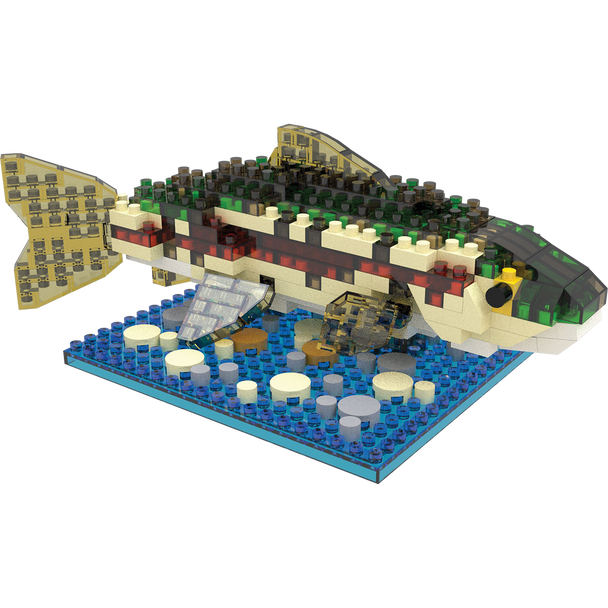 Impact Photographics - Rainbow Trout Mini Building Blocks Set