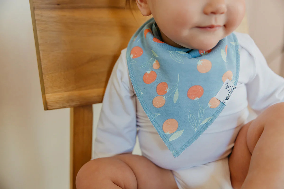 Copper Pearl Clementine Baby Bandana Bibs