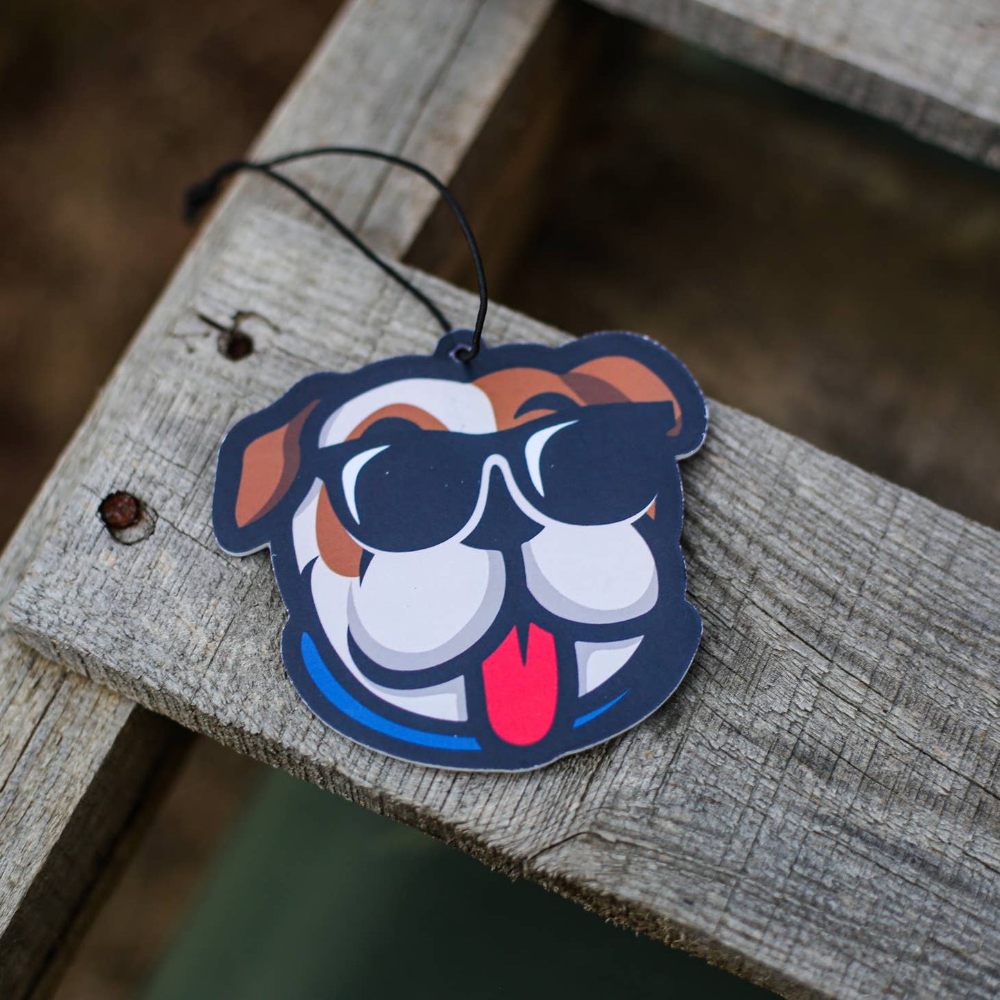 Scent South Air Freshener For The Guys