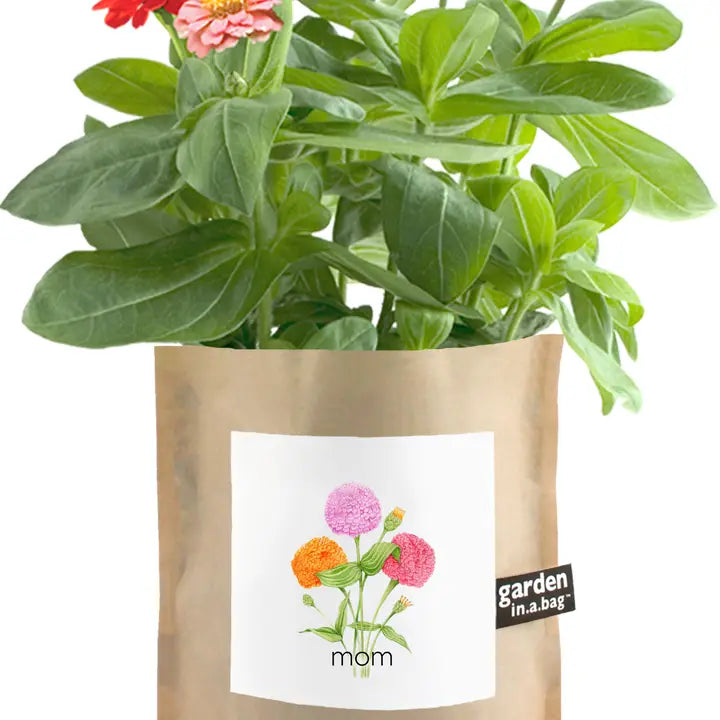 Garden in A Bag | Mom
