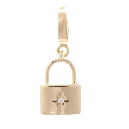 Michelle Mcdowell  Charm Luxe Lock