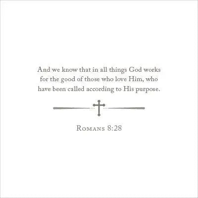 Anne Neilson Home Comfort Scripture Cards