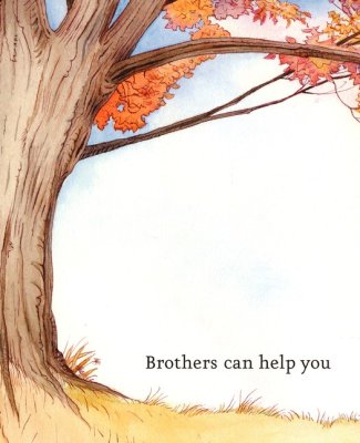 What Brothers Do Best By: Laura Numeroff Illustrated By: Lynn Munsinger CHRONICLE BOOKS / 2012 / HARDCOVER