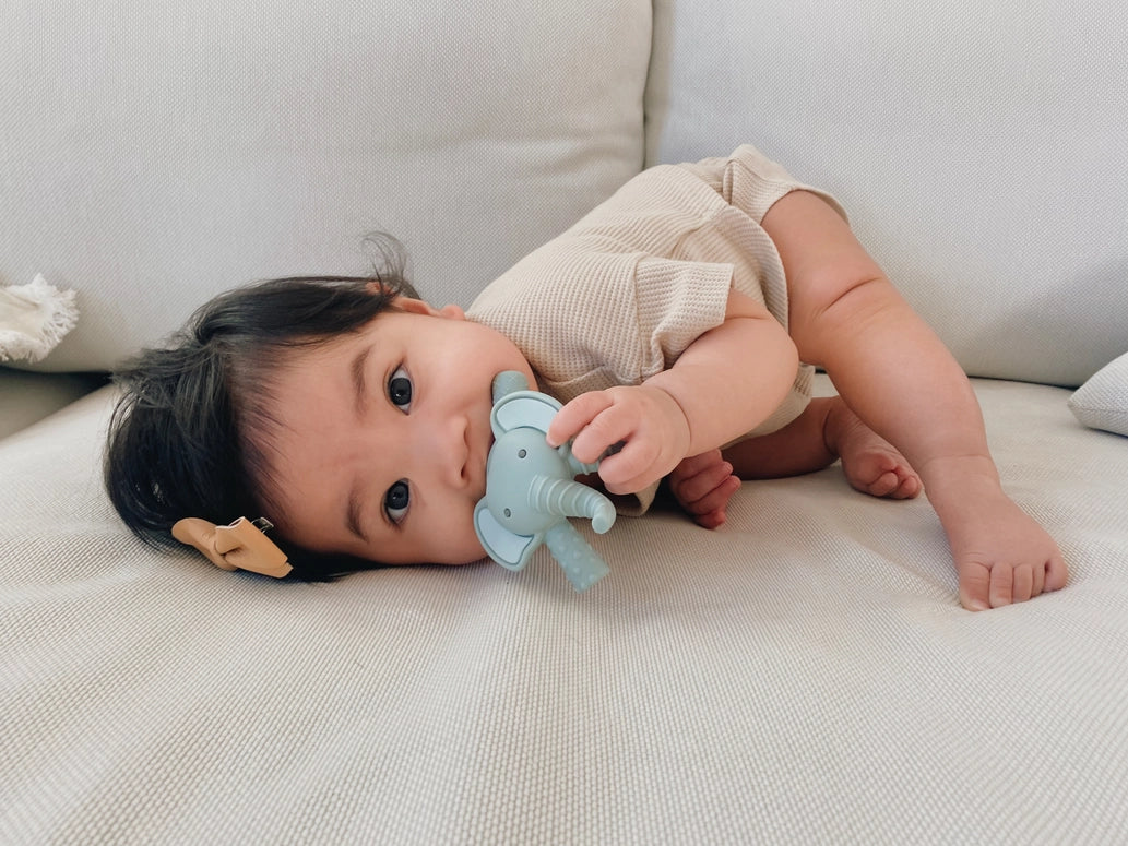 Itzy Ritzy Teether™ Baby Molar Teether