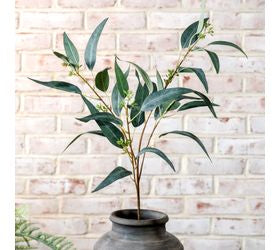 Pd HOME 33" EUCALYPTUS W/FRUIT STEM