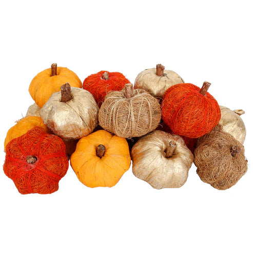 Dried Exotics Pumpkins Orange/Gold Assorted