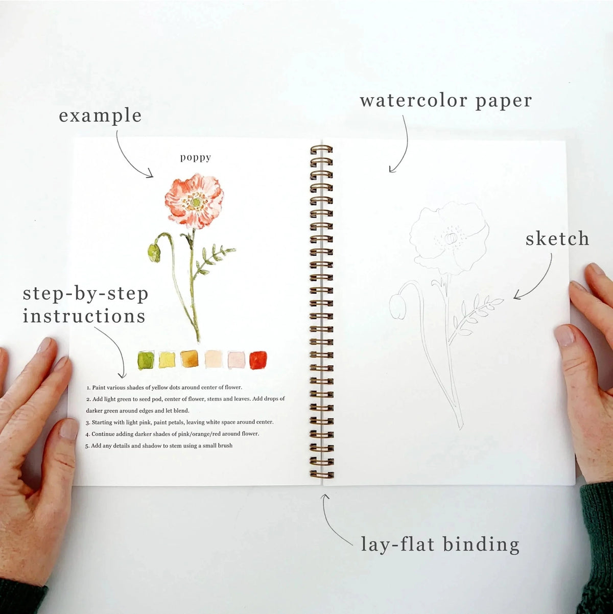 Emily Lex Studio Flowers Watercolor Workbook
