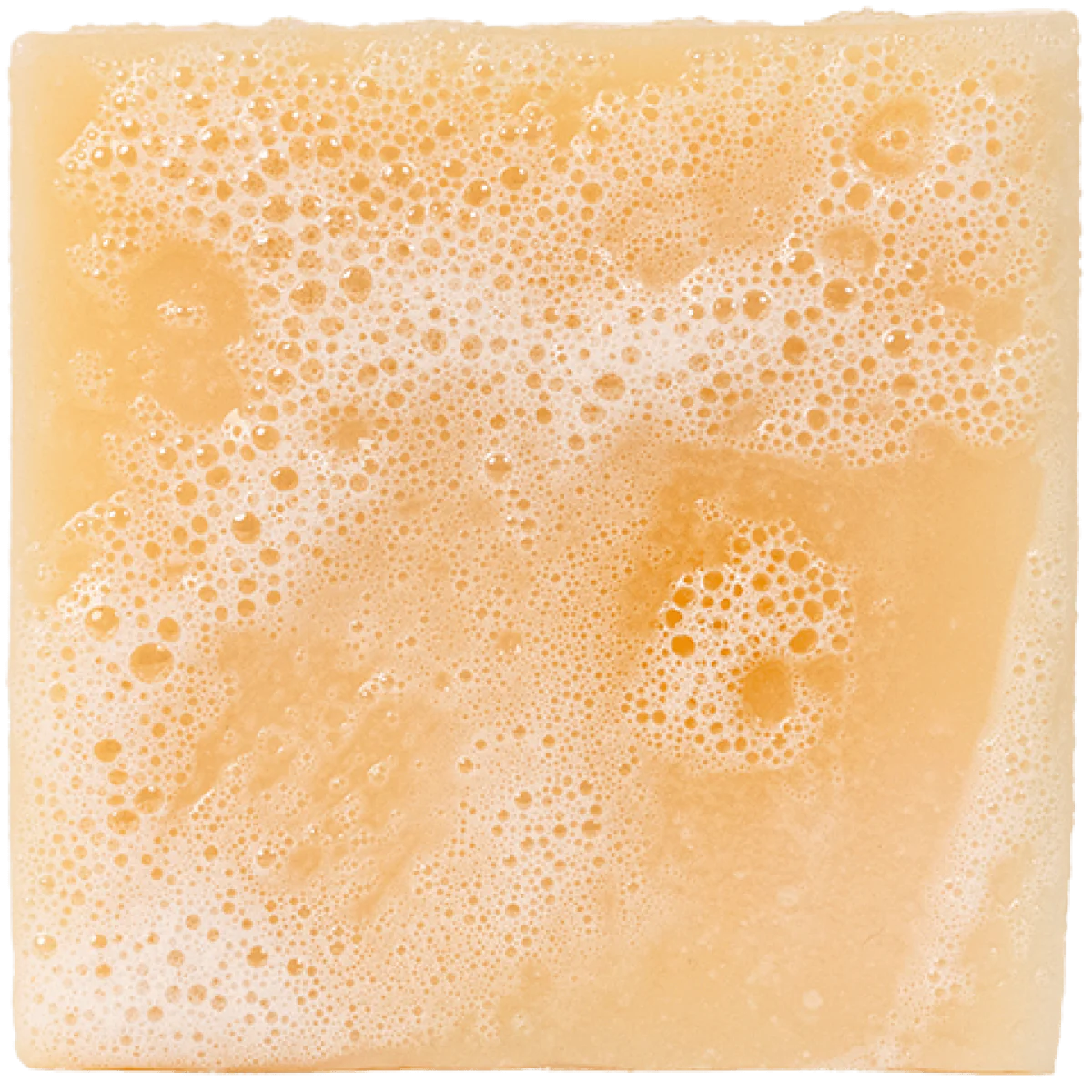 Dr. Squatch Bar Soap ALPINE SAGE