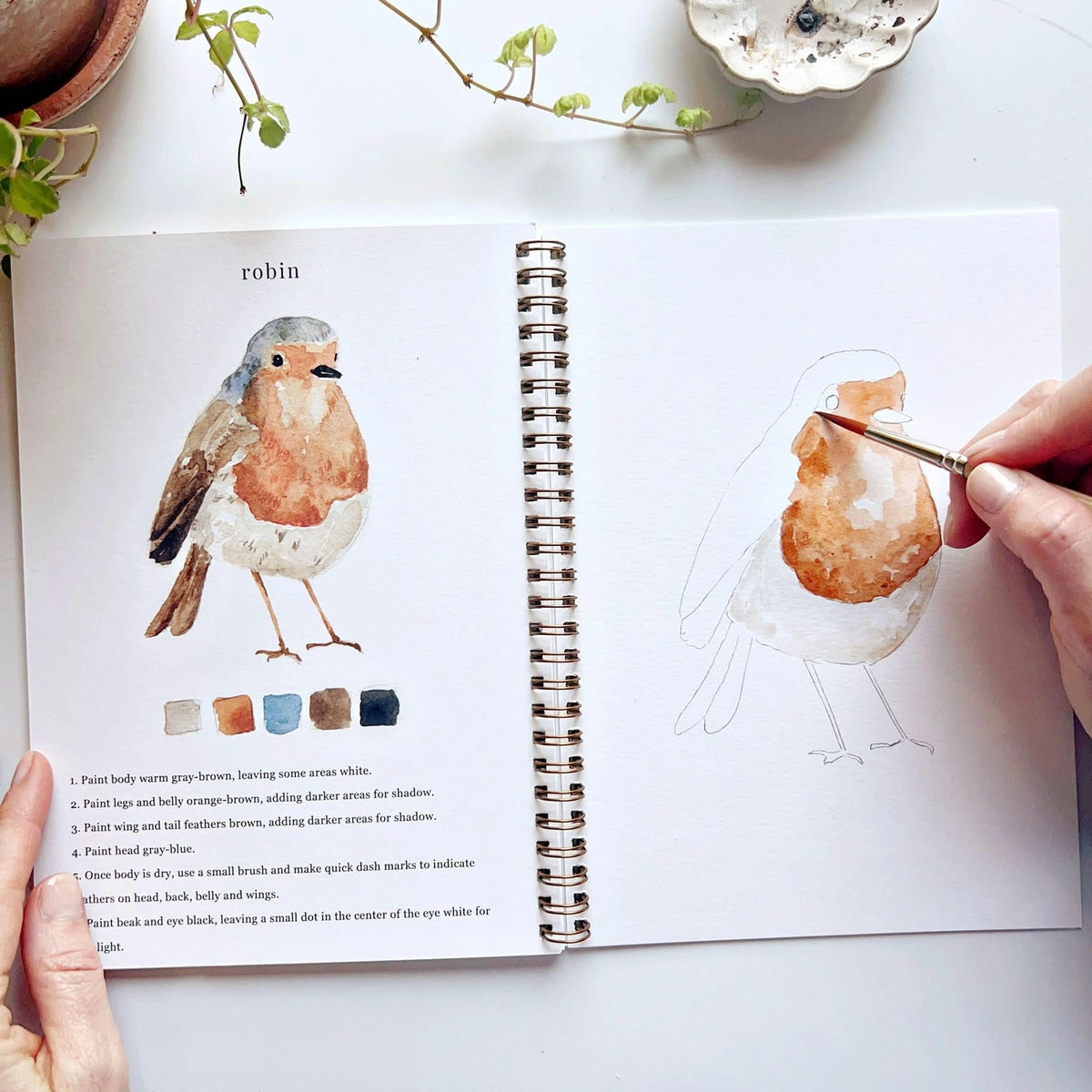 Emily Lex Studio Birds Watercolor Workbook