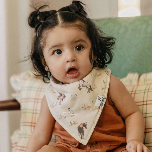 Copper Pearl 4 Pack Baby Bandana Bibs - Cheyenne