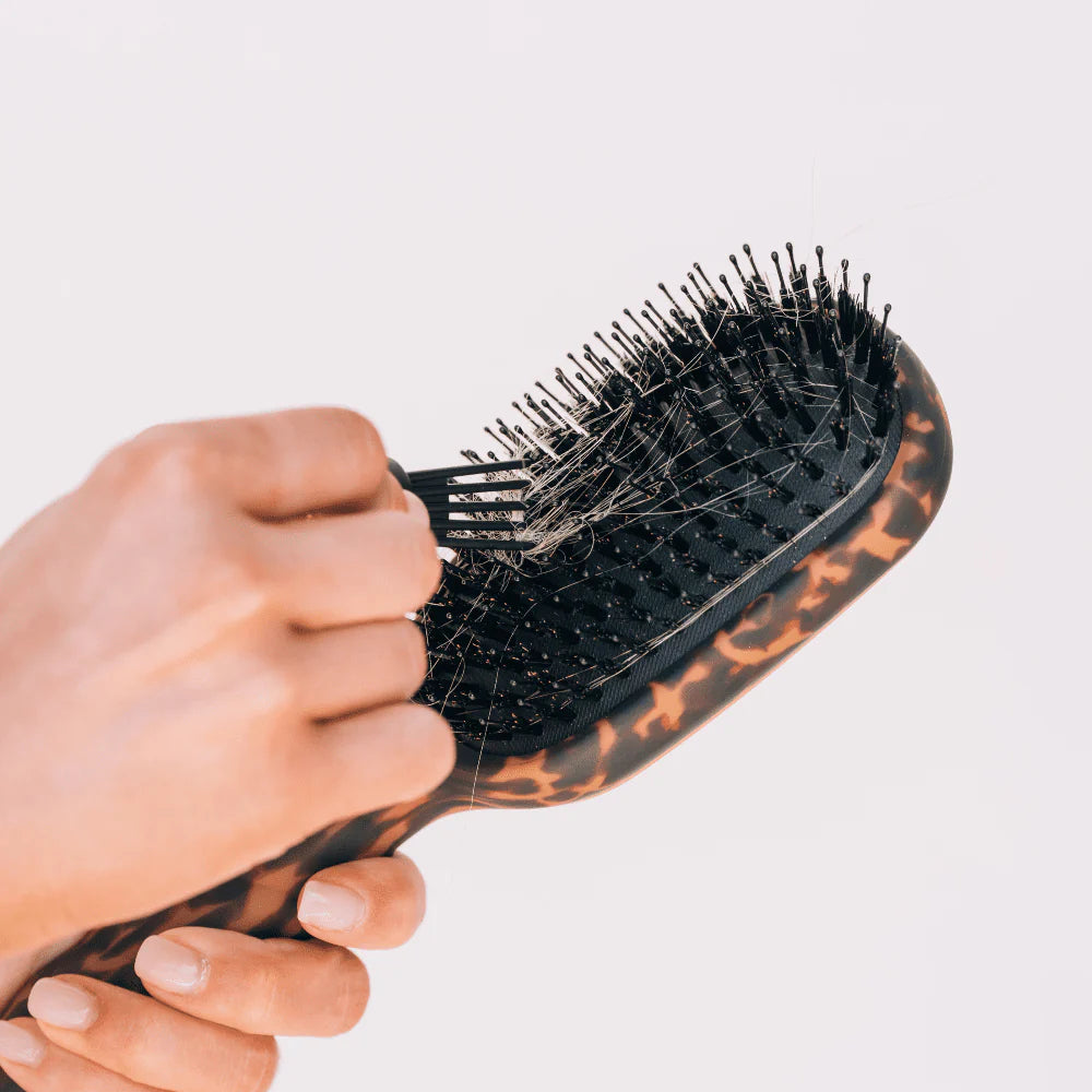 Boar Bristle Hair Brush | Tortoise Teletie