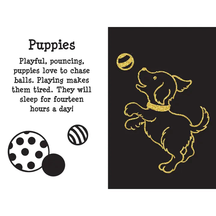 Furry Friends Scratch and Sketch