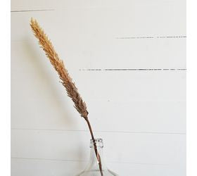Pd Home & Garden *INNER* TAUPE FLUFFY STEM