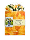 FreshCut Paper NEW Mini English Daffodil